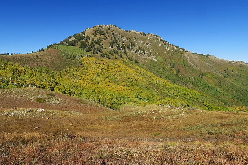 Gobbler's Knob [Desolation Trail, Mount Olympus Wilderness, Salt Lake County, Utah]