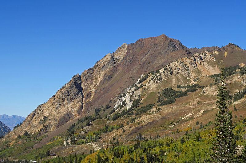 Mount Superior [Albion Basin Road, Alta, Salt Lake County, Utah]