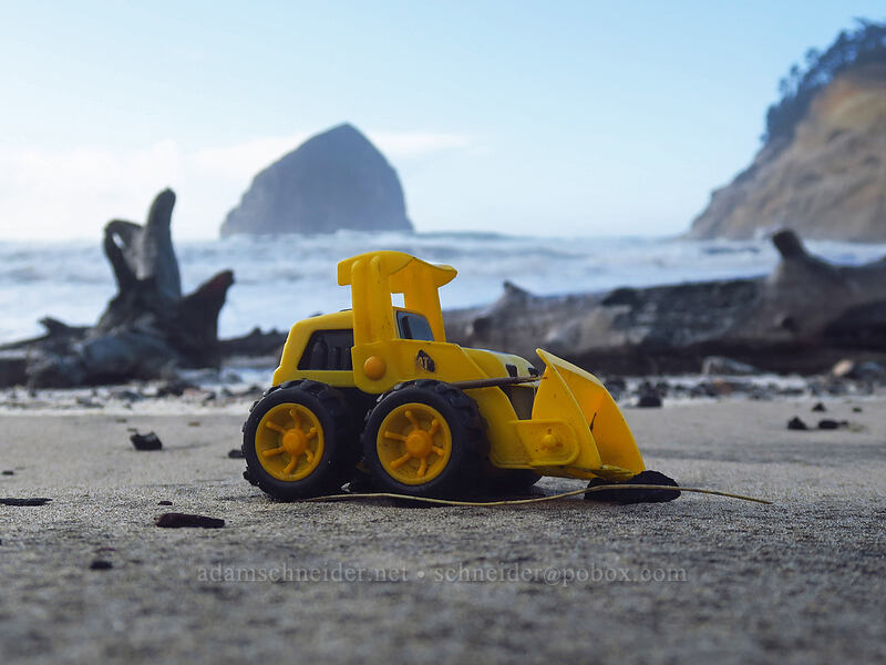 flotsam [Cape Kiwanda State Natural Area, Pacific City, Tillamook County, Oregon]
