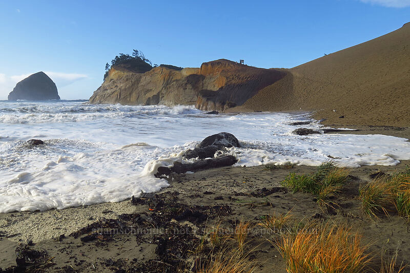 sneaker wave [Cape Kiwanda State Natural Area, Pacific City, Tillamook County, Oregon]