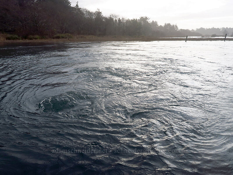 tides flowing under the dike [Beltz Dike, Sitka Sedge State Natural Area, Tillamook County, Oregon]