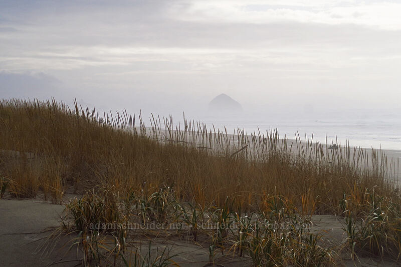 Haystack Rock & surf grass [Sitka Sedge State Natural Area, Tillamook County, Oregon]