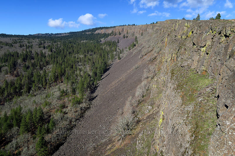 Coyote Wall [Little Moab Trail, Gifford Pinchot National Forest, Klickitat County, Washington]