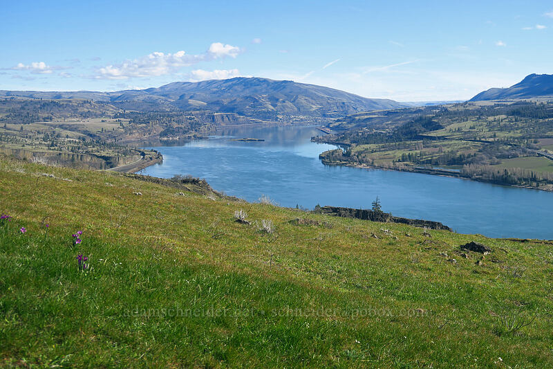 Columbia River & Columbia Hills [Old Ranch Road Trail, Gifford Pinchot National Forest, Klickitat County, Washington]
