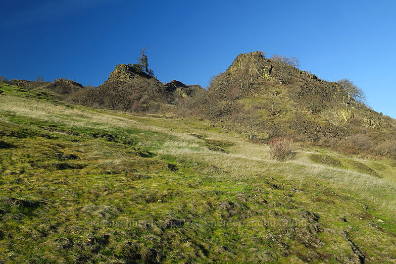 basalt crags [The Labyrinth, Gifford Pinchot National Forest, Klickitat County, Washington]