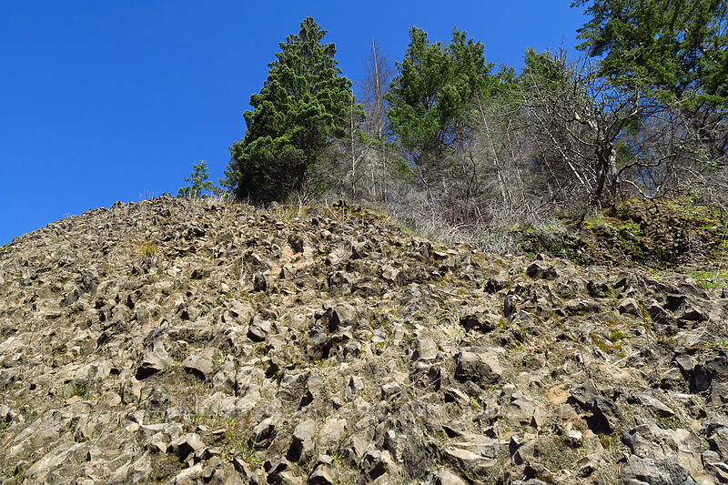 scramble route [Archer Mountain, Gifford Pinchot National Forest, Skamania County, Washington]