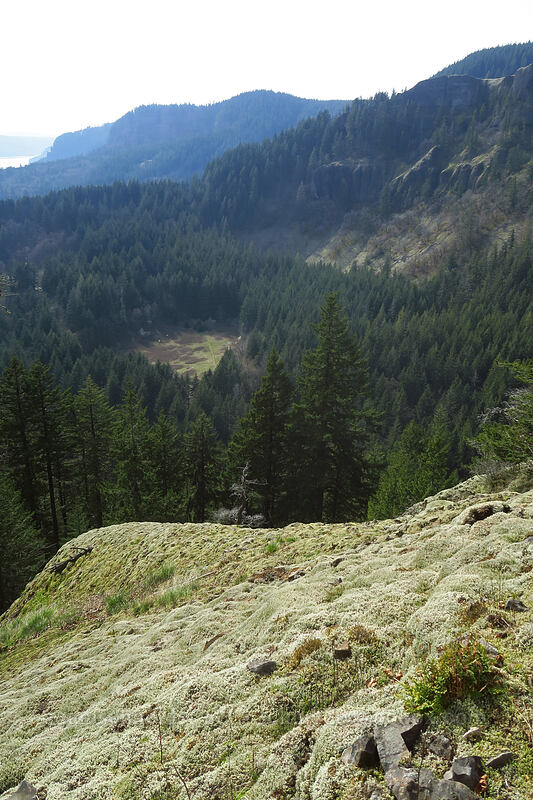 view from Scott Point [Archer Mountain, Gifford Pinchot National Forest, Skamania County, Washington]