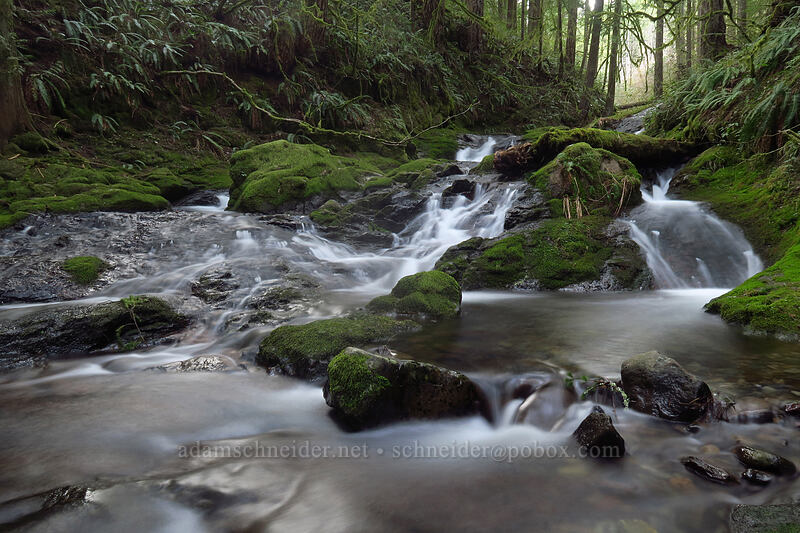 Duncan Creek [Nellie Corser Wildlife Area, Skamania County, Washington]