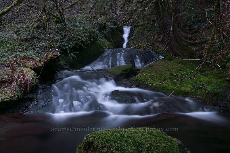Duncan Creek Falls [Nellie Corser Wildlife Area, Skamania County, Washington]