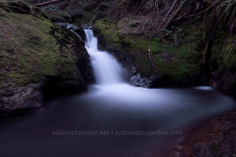Duncan Creek Falls [Nellie Corser Wildlife Area, Skamania County, Washington]