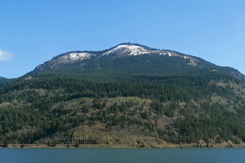 snow on Dog Mountain [I-84, Hood River County, Oregon]
