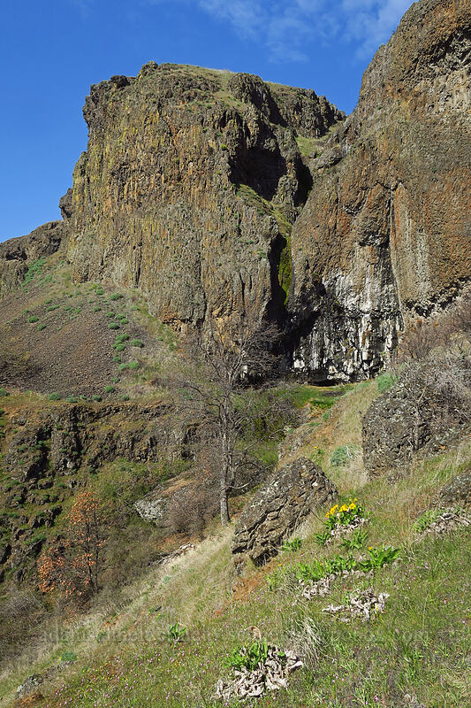 basalt cliffs [Doug's Beach State Park, Klickitat County, Washington]