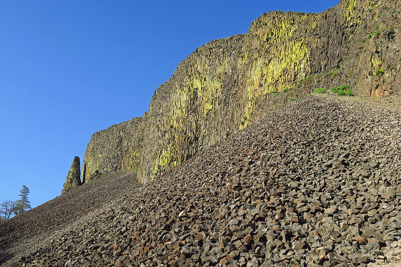 Rowland Wall [Catherine Creek, Klickitat County, Washington]