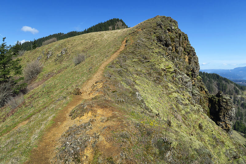 Little Hamilton Mountain [Little Hamilton Mountain, Beacon Rock State Park, Skamania County, Washington]