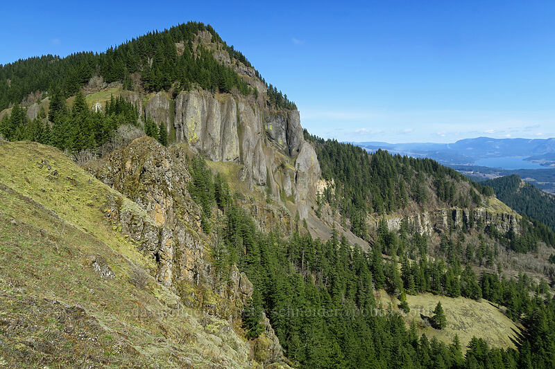 Hamilton Mountain [Little Hamilton Mountain, Beacon Rock State Park, Skamania County, Washington]