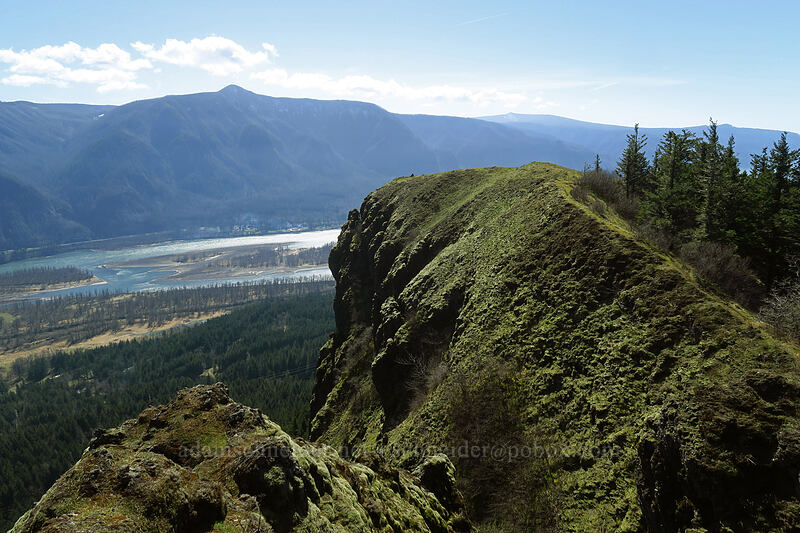 Little Hamilton Mountain [Little Hamilton Mountain, Beacon Rock State Park, Skamania County, Washington]