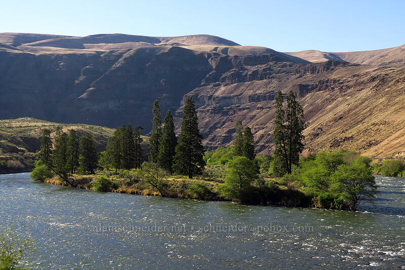 Cedar Island [Deschutes River Access Road, Sherman County, Oregon]