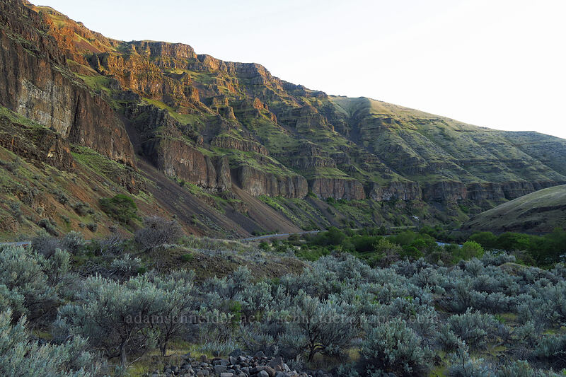 Deschutes River Canyon [Deschutes River Access Road, Sherman County, Oregon]