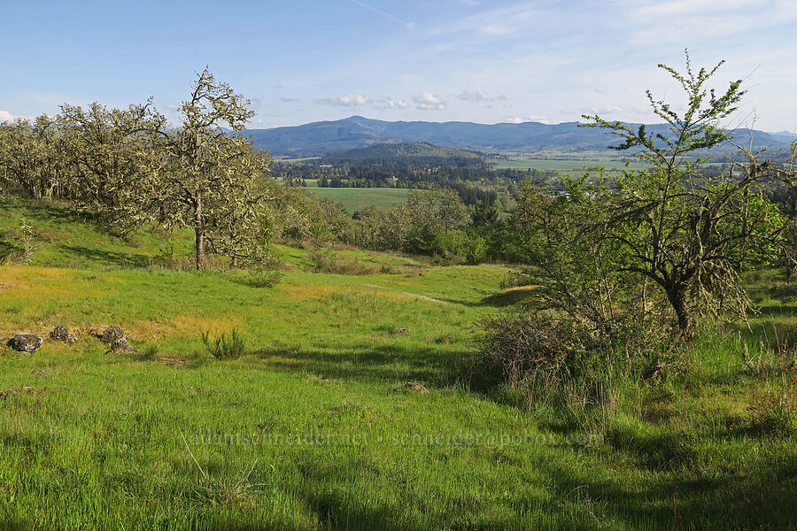 east slopes of Mt. Pisgah [Mount Pisgah, Lane County, Oregon]