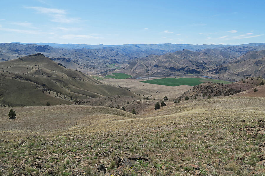 John Day River's valley [Spring Basin Wilderness, Wheeler County, Oregon]