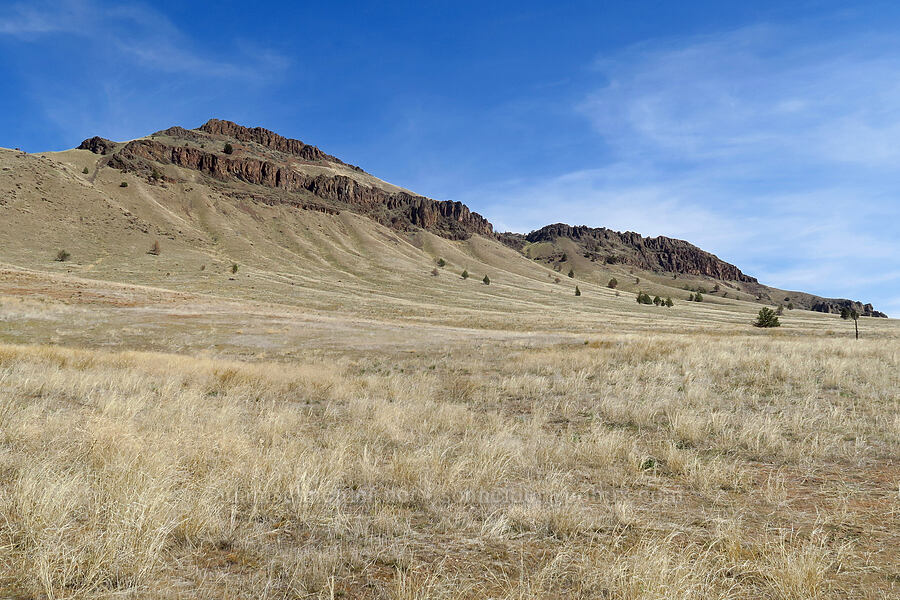 rimrock [Spring Basin Trailhead, Wheeler County, Oregon]
