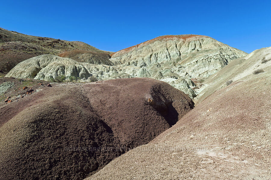 red and gray clay hills [north of Clarno, Wasco County, Oregon]