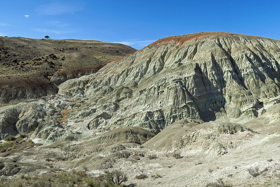 blue basin [north of Clarno, Wasco County, Oregon]