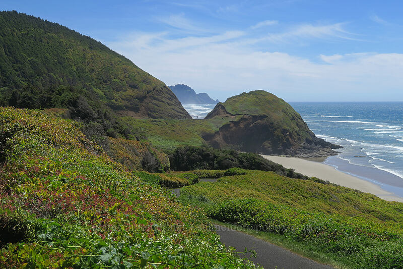 Rocky Knoll [Highway 101, Siuslaw National Forest, Lane County, Oregon]