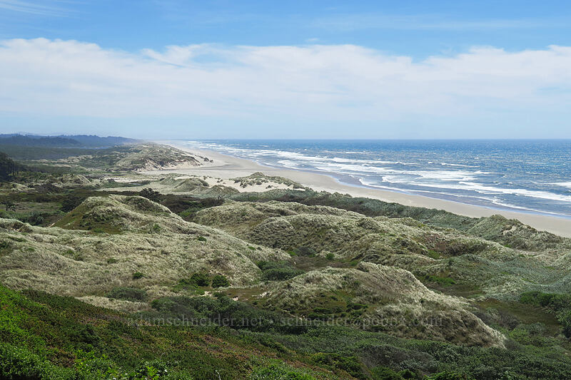 dunes [Highway 101, Siuslaw National Forest, Lane County, Oregon]