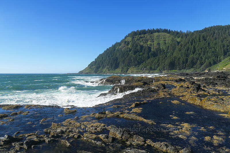 tidepools & Cape Perpetua [Cape Perpetua Scenic Area, Siuslaw National Forest, Lincoln County, Oregon]