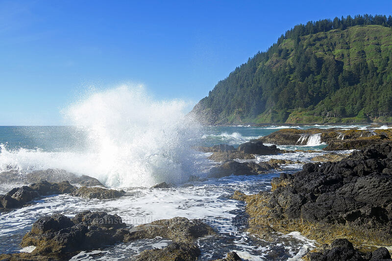 Thor's Well [Cape Perpetua Scenic Area, Siuslaw National Forest, Lincoln County, Oregon]