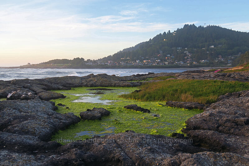 brackish splash pools & Yachats [Yachats Ocean Road State Natural Site, Yachats, Lincoln County, Oregon]