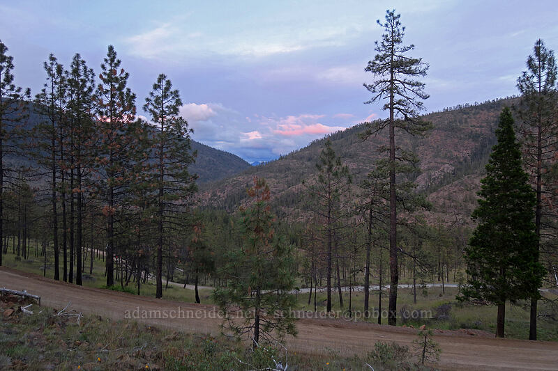 sunset clouds [Days Gulch Botanical Area, Rogue River-Siskiyou National Forest, Josephine County, Oregon]