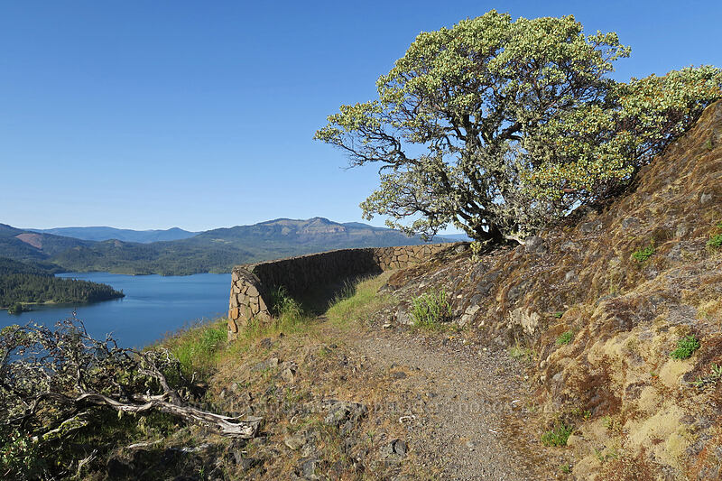 Viewpoint Mike [Viewpoint Mike Trail, Jackson County, Oregon]