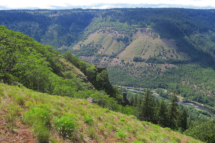 Klickitat Canyon [Soda Springs Wildlife Area, Klickitat County, Washington]