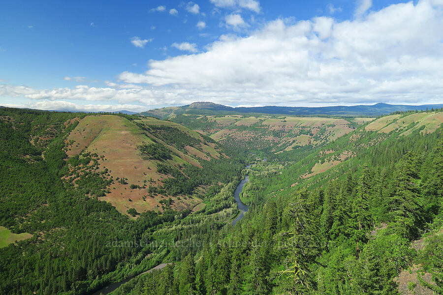 Klickitat Canyon & Grayback Mountain [Soda Springs Wildlife Area, Klickitat County, Washington]