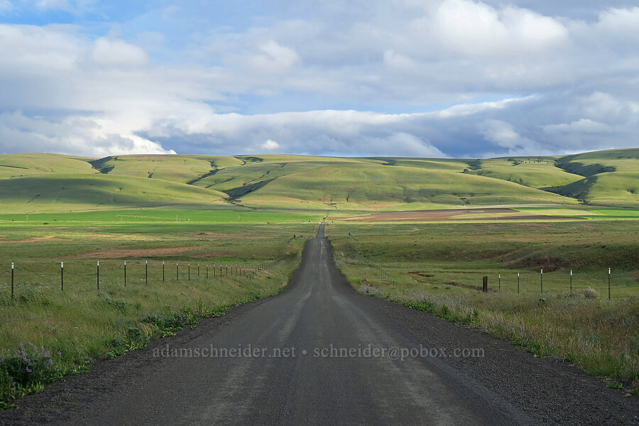 north side of the Columbia Hills [Harms Road, Klickitat County, Washington]