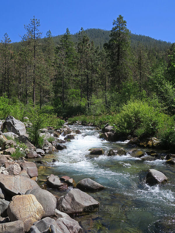 Deer Creek [Kerby Flat Trail, Rogue River-Siskiyou National Forest, Josephine County, Oregon]