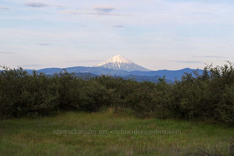 Mount McLoughlin [Whetstone Savanna Preserve, Jackson County, Oregon]