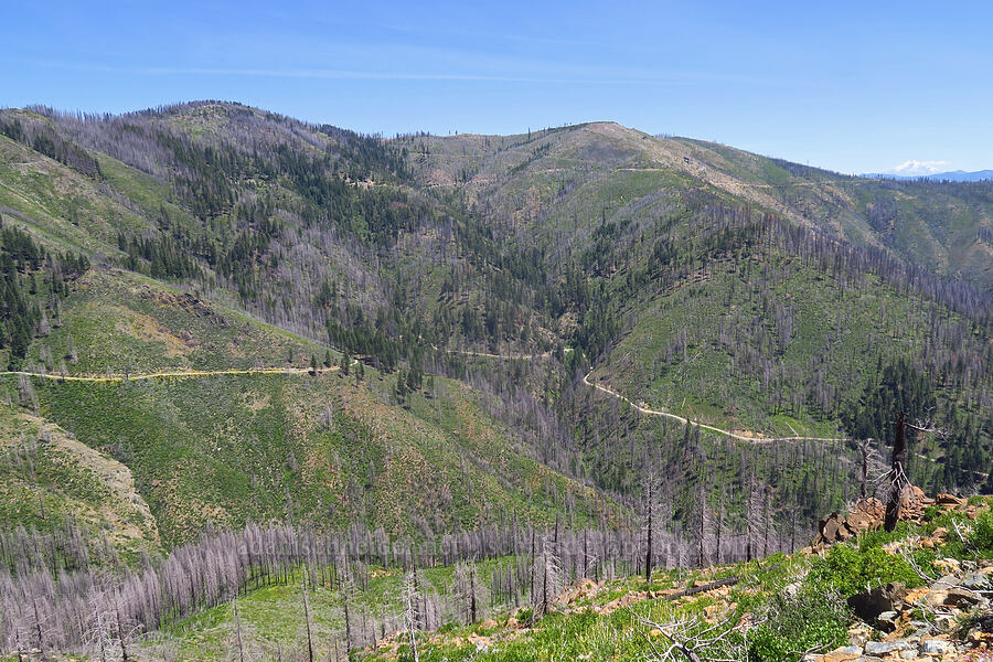 Copper Mountain [Forest Road 47N80, Klamath National Forest, Siskiyou County, California]