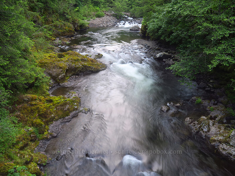 Wilson River [Wilson River Highway, Tillamook State Forest, Tillamook County, Oregon]