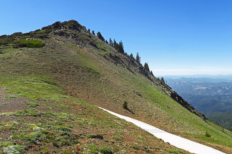 top of Dutchman Peak [Dutchman Peak, Rogue River-Siskiyou National Forest, Jackson County, Oregon]