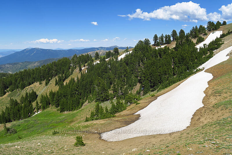 snow on the northeast side of Dutchman Peak [Dutchman Peak, Rogue River-Siskiyou National Forest, Jackson County, Oregon]