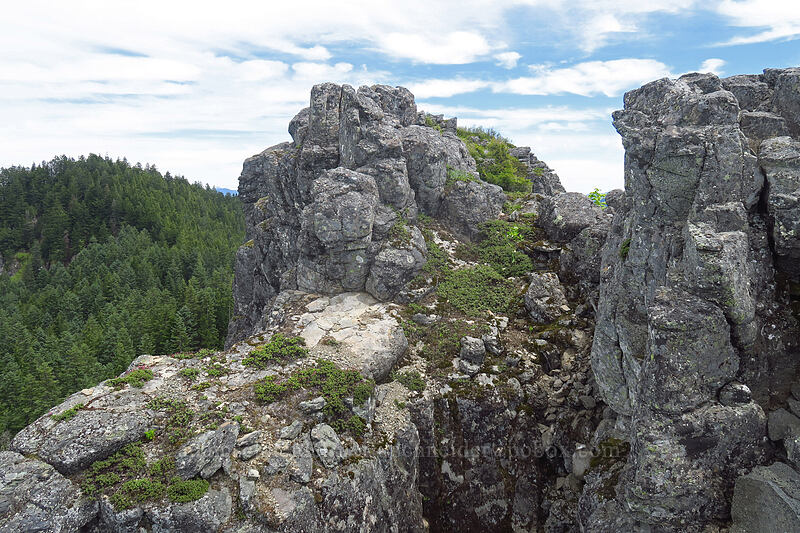 crest of Rooster Rock [Rooster Rock, Table Rock Wilderness, Clackamas County, Oregon]