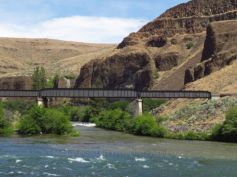 mouth of the muddy White River [White River Recreation Area, Wasco County, Oregon]