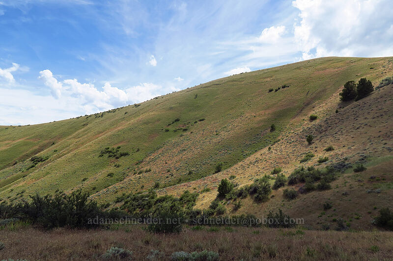 Postage Stamp Butte [White River Wildlife Area, Wasco County, Oregon]