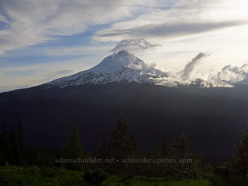 Mount Hood [Lookout Mountain Road, Mt. Hood National Forest, Hood River County, Oregon]