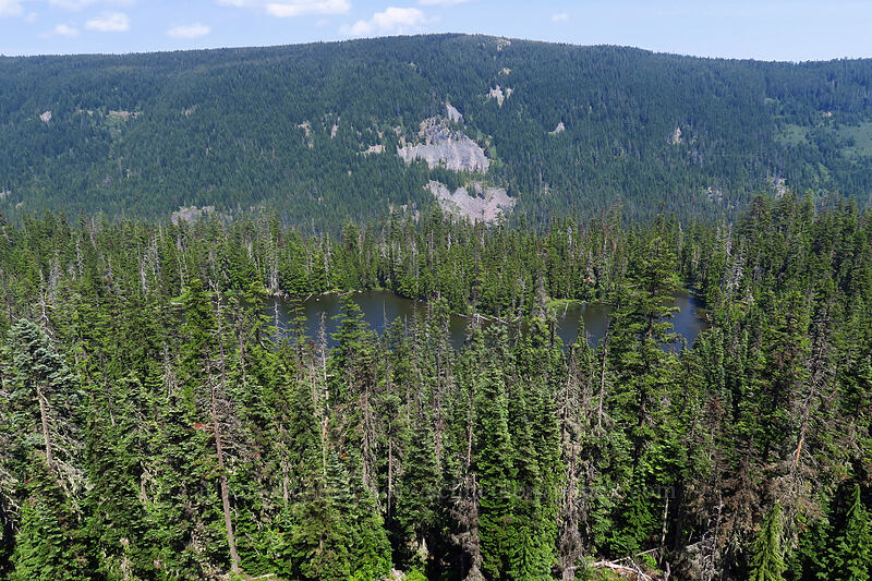 Little Boulder Lake [Forest Creek Trail, Mt. Hood National Forest, Wasco County, Oregon]