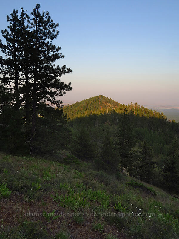 Hootnanny Point [Tygh Creek Trail, Badger Creek Wilderness, Wasco County, Oregon]