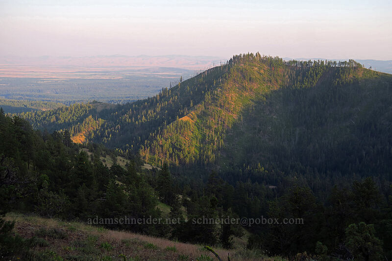 Ball Point [Tygh Creek Trail, Badger Creek Wilderness, Wasco County, Oregon]